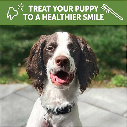 Whimzees by Wellness Dental Treats for Puppies, Natural, Grain Free, Helps to Clean Teeth, Freshen Breath, Reduce Tartar & Plaque, Longer Lasting Chew (M/L)