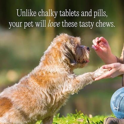 pawTree Natural Allergy Support Plus for Dogs-Ideal for Itching, Irritated Skin, Seasonal and Food Allergies, Hot Spots. Supplement your pet will love. Small Chews for Pets - 60 Count (Small)
