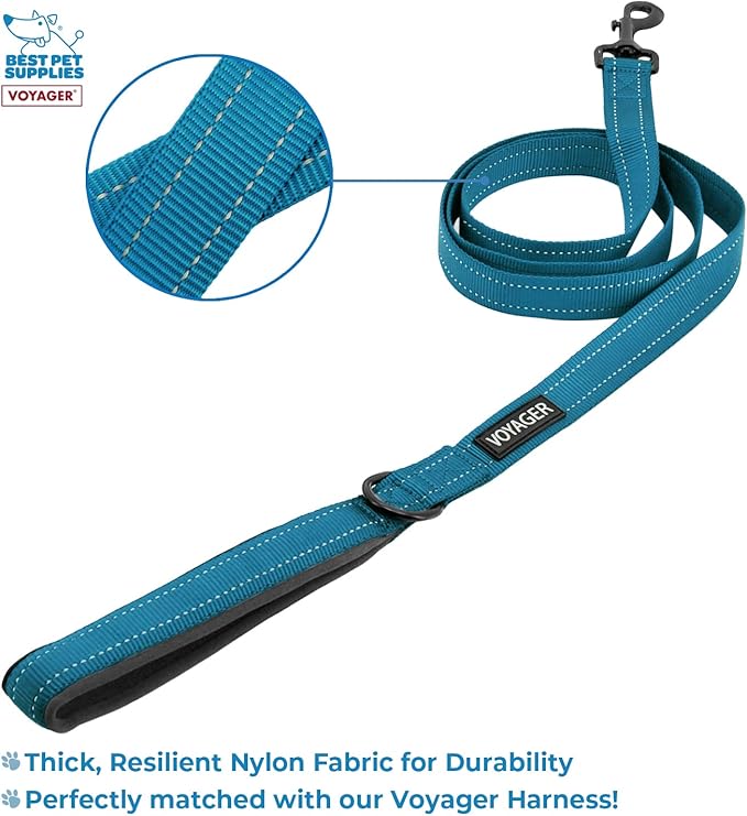 Voyager Step-in Lock Dog Harness w Reflective Dog Leash Combo Set with Neoprene Handle 5ft - Supports Small, Medium and Large Breed Puppies/Cats by Best Pet Supplies - Turquoise/Black Trim, XL
