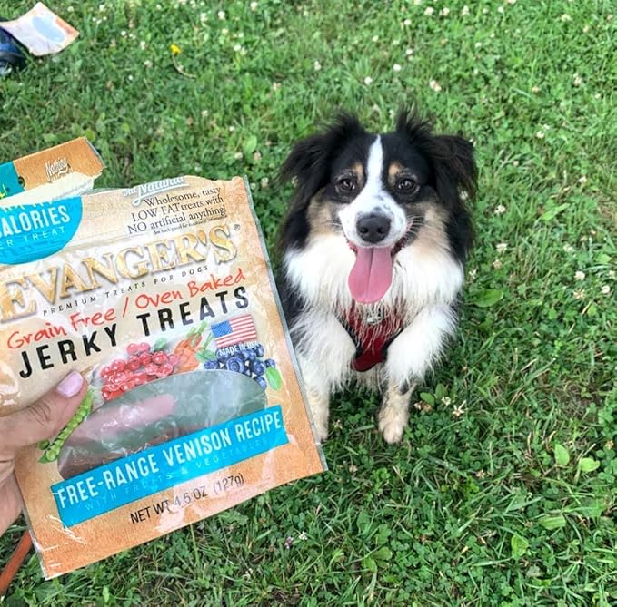 Evanger's Nothing But Natural Venison Jerky Treats for Dogs 4.5 oz Bag