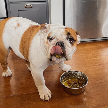 Homescape Pets Mussel Mobility - Green Lipped Mussel & Turmeric for Dogs - Hip & Joint Pain Relief Anti-Inflammatory Meal Topper Powder - Better Mobility, Less Stiffness and Aches - Vet Recommended