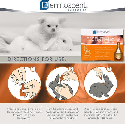 Dermoscent Essential 6 spot-on - Dog Skin Care for Dandruff & Allergy Relief with Vitamin E Oil - Anti Itch for Dogs - Dog & Small Mammals 0-10 kg - 4 Pipettes of 0.6 ml