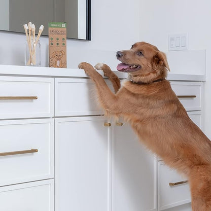 Dog Toothbrush I 4-Pack Two Sided Bamboo Toothbrush for Small and Large Dogs & Cats I Soft Bristles Gentle Pet Toothbrush for Easy Dog Teeth Brushing & Dental Care