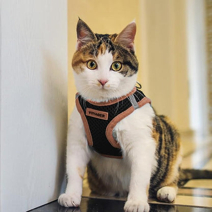 Voyager Step-In Air Dog Harness - All Weather Mesh Step in Vest Harness for Small and Medium Dogs by Best Pet Supplies - Orange, X-Large