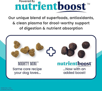 Solid Gold Nutrientboost Mighty Mini Small Breed Dog Food - Dry Dog Food Made with Real Chicken for Any Toy Breed - Grain & Gluten Free Recipe for Gut Health & Sensitive Stomach Support - 3.75 LB Bag