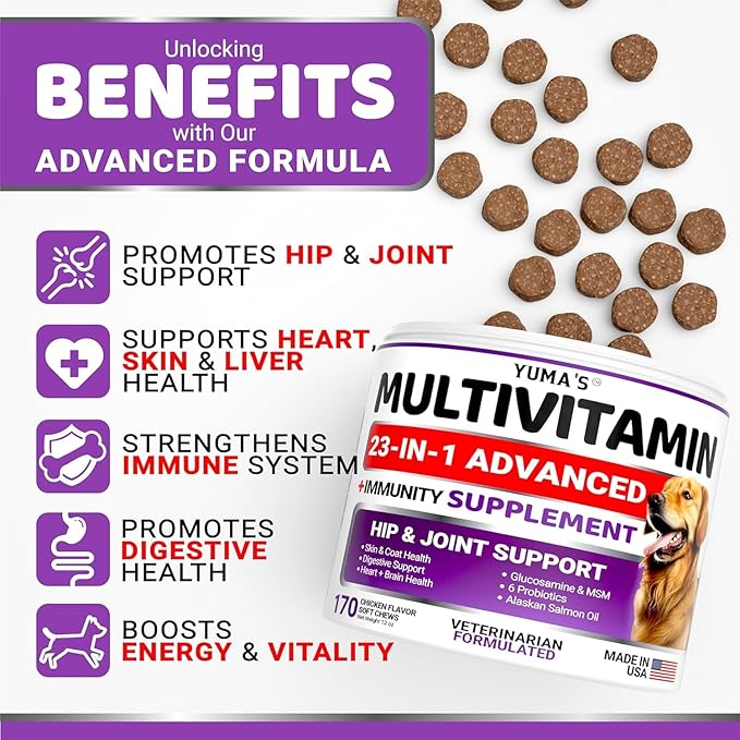 2-Pack Dog Multivitamin Chewable with Glucosamine - Dog Vitamins and Supplements - Senior & Puppy Multivitamin for Dogs - Hip & Joint Support - Immune Health, Skin, Heart, Digestion, Probiotics