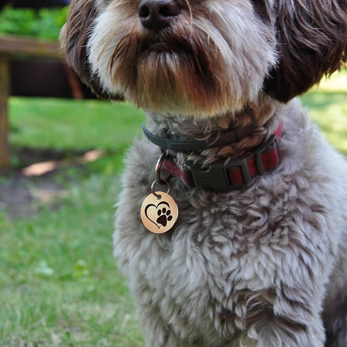 MYLUCKYTAG Stainless Steel QR Code Pet ID Tags Dog Tags - Pet Online Profile - Scan QR Receive Instant Pet Location Alert Email