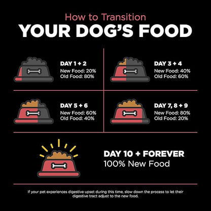 GO! SOLUTIONS Sensitivities – Salmon Recipe – Limited Ingredient Dog Food, 12 lb – Grain Free Dog Food for All Life Stages – Dog Food to Support Sensitive Stomachs