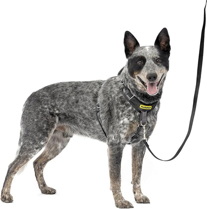 PetSafe Easy Walk Comfort No-Pull Dog Harness Full-Body Padding - Better Walks on The First Use - 5 Points of Adjustment Medium/Large, Black