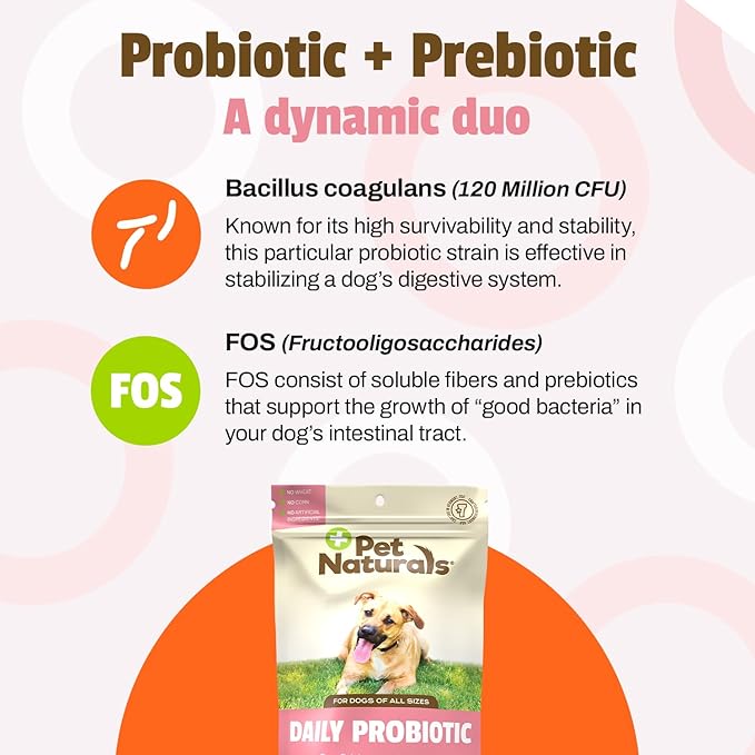 Pet Naturals Daily Probiotic for Dogs, 120M CFUs - Pre and Probiotics for Dogs Digestive Health, Gut Health, Immune Support, Diarrhea, Allergies and Itching - 60 Chews, Duck Flavor