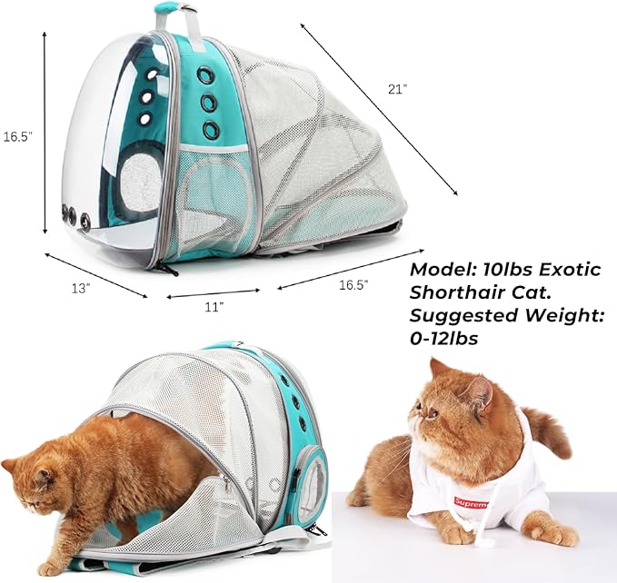 Lollimeow Bubble Expandable Cat Backpack Pet Travel Carrier for Cats and Dogs (Green-Expandable)