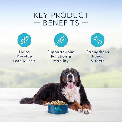 Blue Buffalo Life Protection Formula Natural Adult Large Breed Dry Dog Food, Chicken and Brown Rice 30 lb