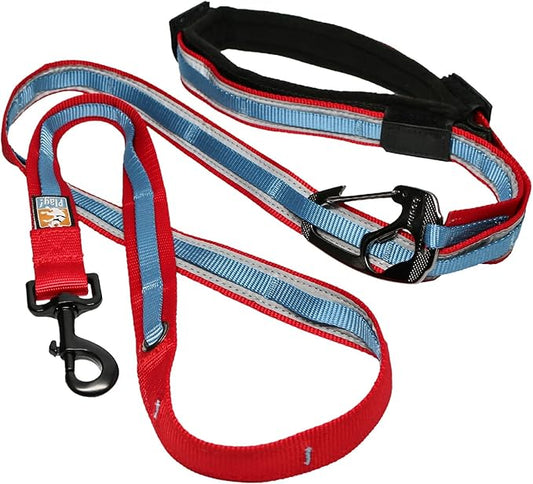 Kurgo 6 in 1 Hands Free Dog Leash |Reflective Running Belt Leash for Dogs, Crossbody & Waist Belt Leash, Carabiner clip,vPadded Handle for Training, Hiking Or Jogging, Quantum Leash, 6 Colors