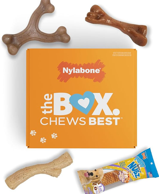 Nylabone Dog Toy Gift Box, includes 3 Strong Chew Toys and 1 Dog Treat, Chew Toys for Puppies, Small/Regular (4 Count)