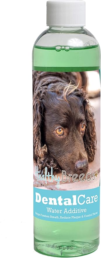 Healthy Breeds Dog Dental Care Water Additive for American Water Spaniel - Helps Freshen Breath, Reduce Plaque & Control Tartar - Mint Flavor - 8 oz