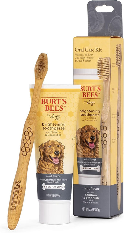 Burt's Bees for Pets Care Plus + Charcoal & Coconut Oil Brightening Toothpaste & Toothbrush - Naturally Derived Dog Toothpaste and Toothbrush Kit - Dog Oral Care Dog Toothpaste Kit, 2.5 Oz