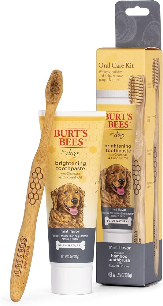 Burt's Bees for Pets Care Plus + Charcoal & Coconut Oil Brightening Toothpaste & Toothbrush - Naturally Derived Dog Toothpaste and Toothbrush Kit - Dog Oral Care Dog Toothpaste Kit, 2.5 Oz