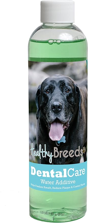 Healthy Breeds Dog Dental Care Water Additive for Mastador - Helps Freshen Breath, Reduce Plaque & Control Tartar - Mint Flavor - 8 oz
