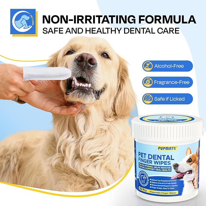 Dental Care Wipes for Dog- Teeth Cleaning Finger Wipes for Plaque and Tartar Removal, Safe & Gentle Disposable Toothbrush Wipes for Fresh Breath & Gum Care - 50 Pcs