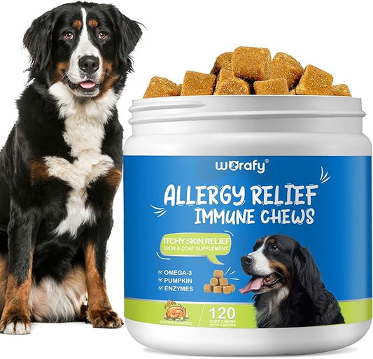 Allergy Relief Dog Treats w/Omega 3 + Pumpkin + Enzymes, Dog Allergy Relief Chews, Itch Relief for Dogs, Anti-Itch Treats - Skin & Coat + Immune Digestive Supplement