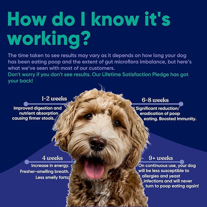 Probiotic - Coprophagia Treatment for Dogs - Stop and Prevent Dog from Eating Poop - No Stool Eating, Deterrent and Prevention - Probiotics Powder for Cats, Dogs & Puppies