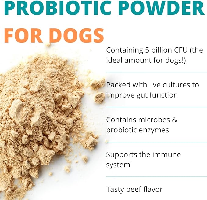 Approx 120 Servings of Dog Probiotic Powder - Dog Probiotics and Digestive Enzymes - Enzyme Supplement for Dogs - Dog Digestive Support - Made in The USA