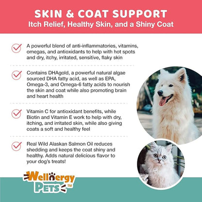 Natural Skin and Coat Allergy Support Soft Chews for Dogs – Anti-inflammatory and Anti-Itch Vitamins, Omega 3 6 9 + EPA, DHA Gold, Fish Oil - for Hot Spots, Seasonal Allergies, Dry, Itchy Skin 120ct.