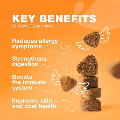 Dog Allergy Relief Chews - Itch Relief for Dogs - Dog Allergy Chews - US Formulated Dog Itching Skin Relief with Salmon Oil - Anti Itch, Immune Health, Seasonal Allergies & Hot Spots Support Treats