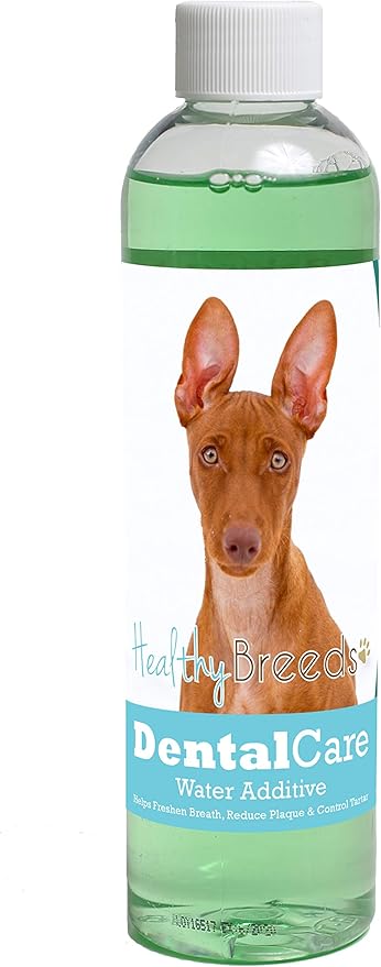 Healthy Breeds Dog Dental Care Water Additive for Cirneco dell'Etna - Helps Freshen Breath, Reduce Plaque & Control Tartar - Mint Flavor - 8 oz