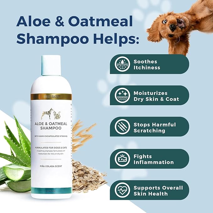 PetScy - Itch Relief & Aloe & Oatmeal Shampoo Bundle - Dog Itch Relief With Fatty Acids, EPA, DHA & Omega - Moisturizing Pet Shampoo for Skin Relief - For Healthy Shiny Coats - 30 Chews & 12 oz Bottle