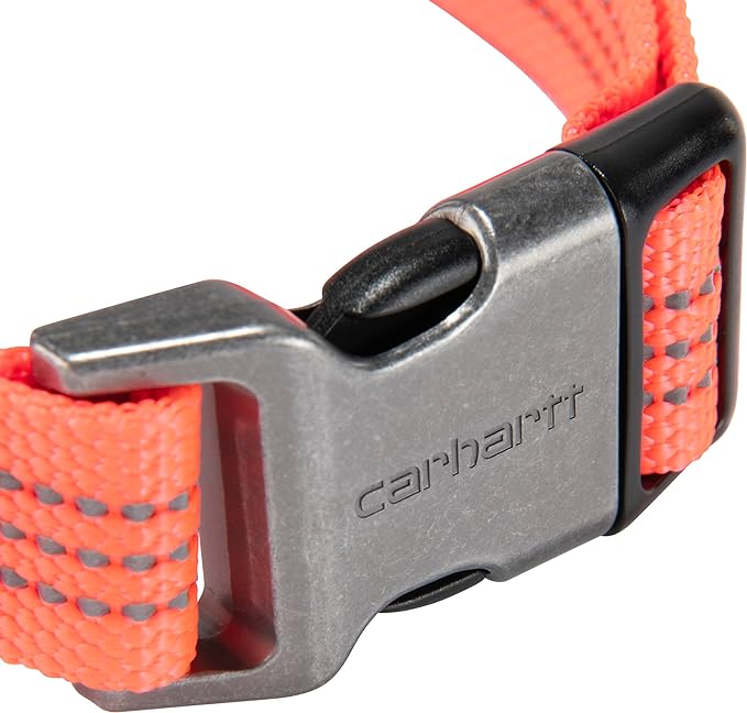 Carhartt Fully Adjustable Nylon Webbing Collars for Dogs, Reflective Stitching for Visibility, Coral Glow (Nylon Webbing), Large