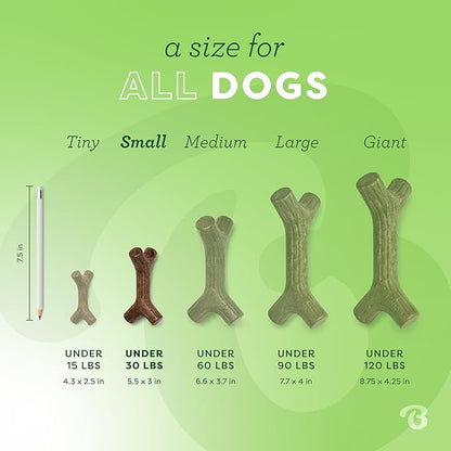 Benebone Maplestick Durable Dog Chew Toy for Aggressive Chewers, Real Maplewood, Made in USA, Small