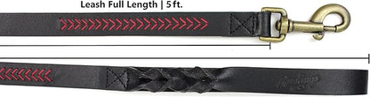 Rawlings | Baseball Stitch Leather Dog Leash | 5 Ft. | Multiple Colors