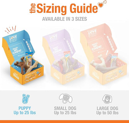 Nylabone Dog Toy Gift Box, includes 3 Strong Chew Toys and 1 Dog Treat, Chew Toys for Puppies, Small/Regular (4 Count)