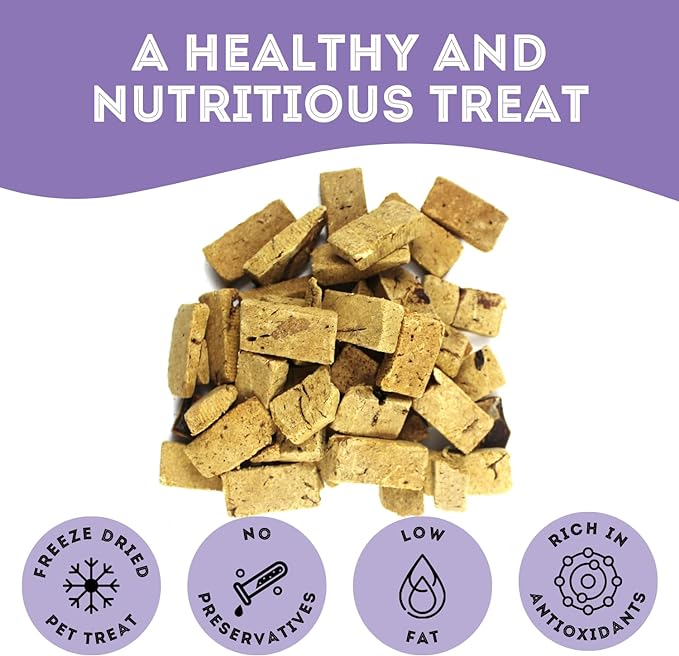 Freeze Dried Beef Liver Treats for Dogs & Cats (1.76 oz, Pack of 1) - Single Ingredient Flash Frozen to Maintain Nutrients Vitamins and Healthy Oils