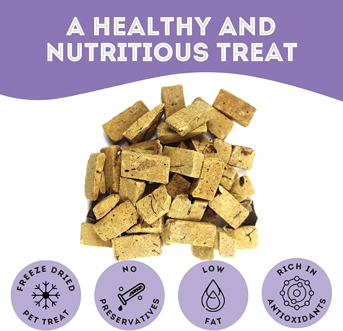 Freeze Dried Beef Liver Treats for Dogs & Cats (1.76 oz, Pack of 1) - Single Ingredient Flash Frozen to Maintain Nutrients Vitamins and Healthy Oils