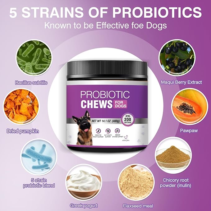 Probiotics for Dogs Dog Probiotic Chews and Digestive Enzymes Prebiotic Health Gut Itchy Skin Probioticos Itching Diarrhea Chew Supplements Canine Pet Prebiotics 200 Natural Soft Chewable Tablets