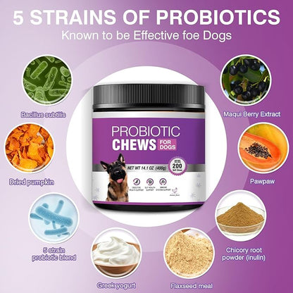 Probiotics for Dogs Dog Probiotic Chews and Digestive Enzymes Prebiotic Health Gut Itchy Skin Probioticos Itching Diarrhea Chew Supplements Canine Pet Prebiotics 200 Natural Soft Chewable Tablets