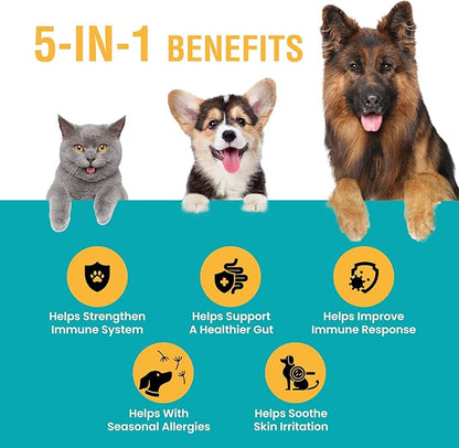 Allergy & Immune with Elderberry, Allergy Relief for Cats and Dogs, Anti Itch Treatment, Relief for Pet Allergies, Immune Support for Cat or Dog, 2 oz