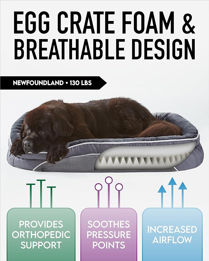 Orthopedic Dog Bed for Extra Extra Large Dogs, Dog Couch Design with Egg Foam Support, Removable, Machine Washable Plush Cover and Non-Slip Bottom with Four Sided Bolster Cushion (Gray)