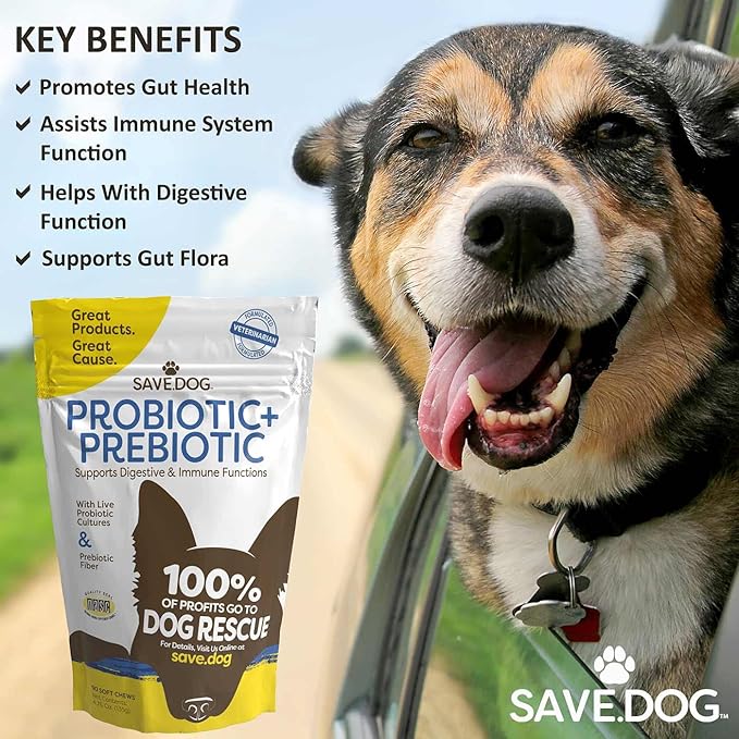 Probiotics for Dogs – Dog Probiotic Chews for Dogs with Clinically-Studied BC30 Probiotic + Prebiotic for Digestive & Immune Health - Dog Supplement with a Cause (90 Chews)
