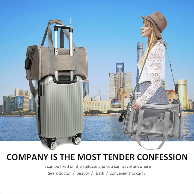 Cat Carrier Dog Carrier Pet Carrier Cat Bags for Small Medium Cats Dogs Puppies of 15 Lbs,of Airline Approved Small Dog Bag Soft Sided,Collapsible Travel Puppy Carrier (Large, Grey)
