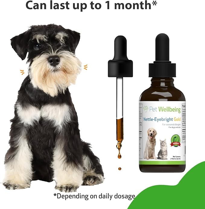 Pet Wellbeing Nettle-Eyebright Gold for Dogs - Vet-Formulated - Seasonal Allergies, Hay Fever, Allergic Rhinitis - Natural Herbal Supplement 2 oz (59 ml)