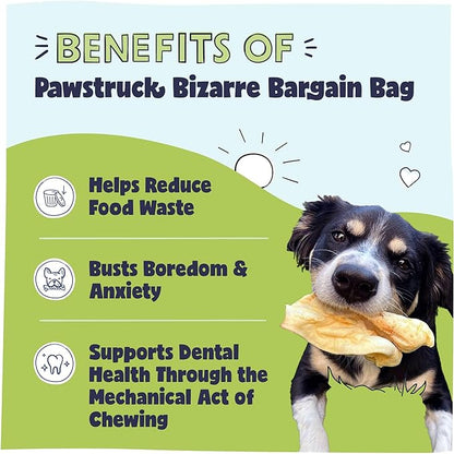 Pawstruck Bizarre Bargain Bag Assorted Natural Dog Chew Treats - Animal Ears, Jerky, Bones, Hooves, Beef Straps - Long Lasting Rawhide Alternative for Chewers All Breeds - 1 lb - Packaging May Vary