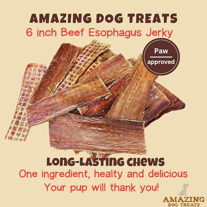 Amazing Dog Treats - Beef Esophagus Jerky for Dogs (6 Inch - 25 Pc/Pack) - Beef Gullet Dog Chews - Beef Esophagus Dog Treats