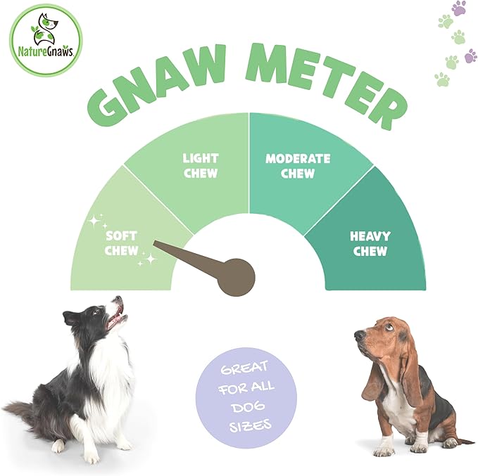 Nature Gnaws USA Crunch Chips for Dogs - Single Ingredient Natural Dog Chew Jerky Treats – Made in USA (8 oz)