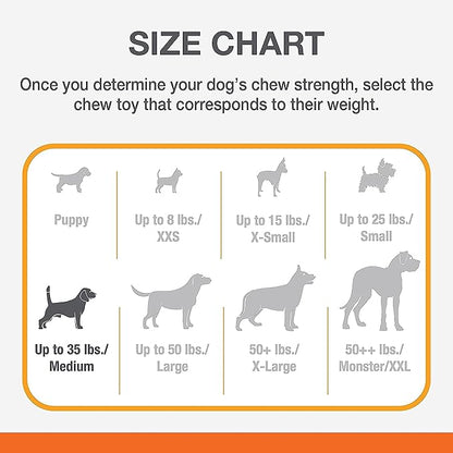 Nylabone Power Chew Barbell Bone Chew Toy for Dogs, Durable Dog Toy, Peanut Butter Flavor, Medium - Up to 35 lbs. (1 Count)