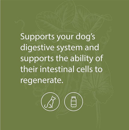 Standard Process - Canine Enteric Support - Digestive System Support for Dogs - 110 Grams