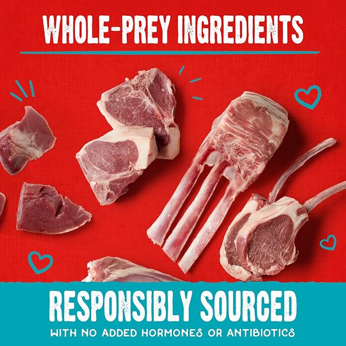 Stella & Chewy's Freeze-Dried Raw Coated Dog Biscuits – Grass-Fed Lamb Recipe – Protein Rich, Grain Free Dog & Puppy Treat – Great Snack for Training & Rewarding – 9 oz Bag