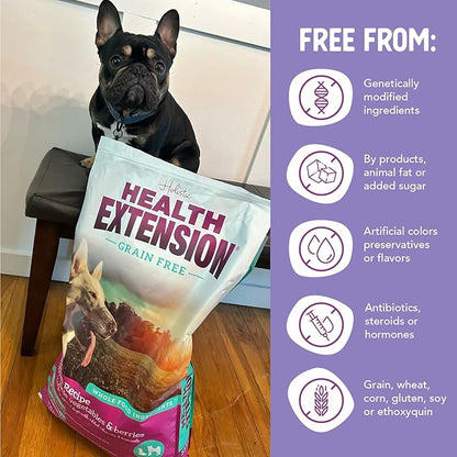 Health Extension Dry Dog Food, Natural Food with added Vitamins & Minerals, Suitable for All Puppies, Grain Free, Salmon & Sweet Potato Recipe with Whole Vegetable & Berries (1 Pound)